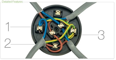 how to wire up a 3 terminal junction box|terminal junction box wiring guide.